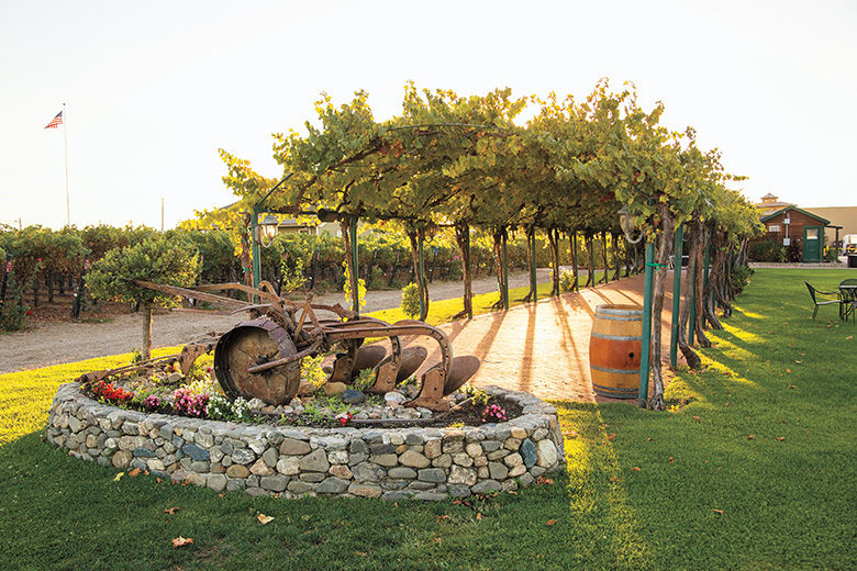 Explore Livermore Wine Country